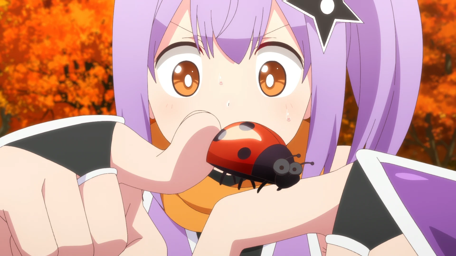 忍者与杀手二人组的日常生活 第9话