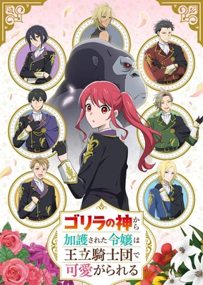 《姬骑士是蛮族的新娘》系列-全部动画作品 - 番组百科