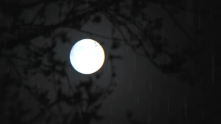 令和的斑小姐 特报PV