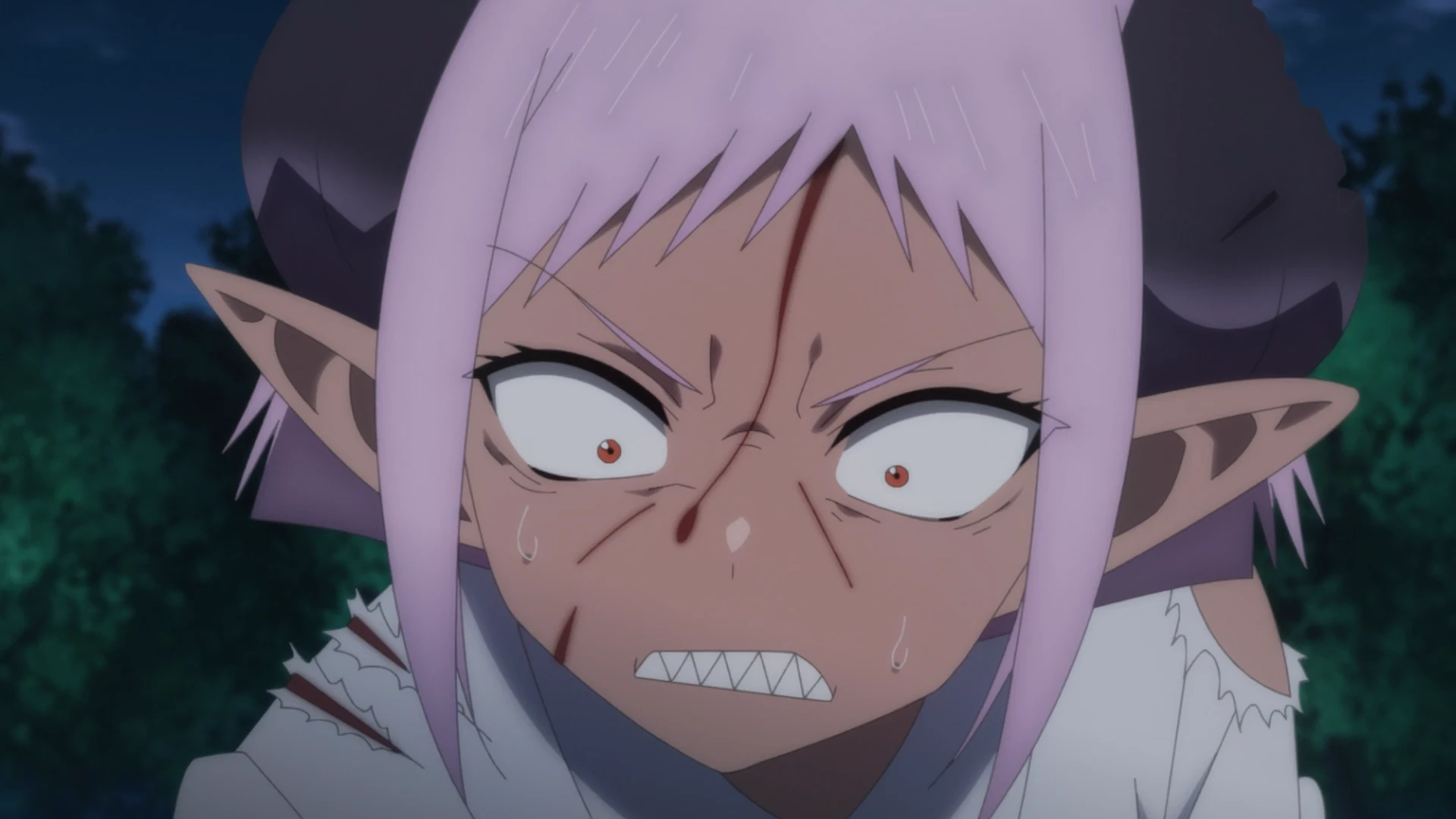 我与尼特女忍者的莫名同居生活 第9话