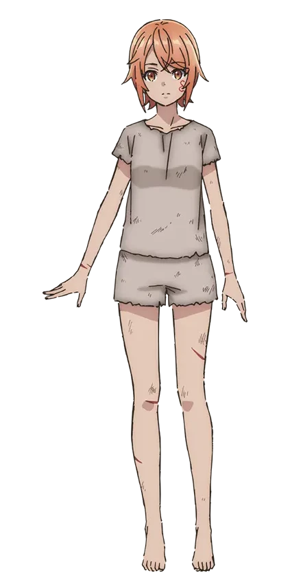 芙兰姆·艾布利科德